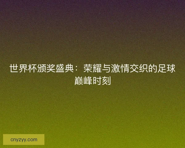 世界杯颁奖盛典：荣耀与激情交织的足球巅峰时刻