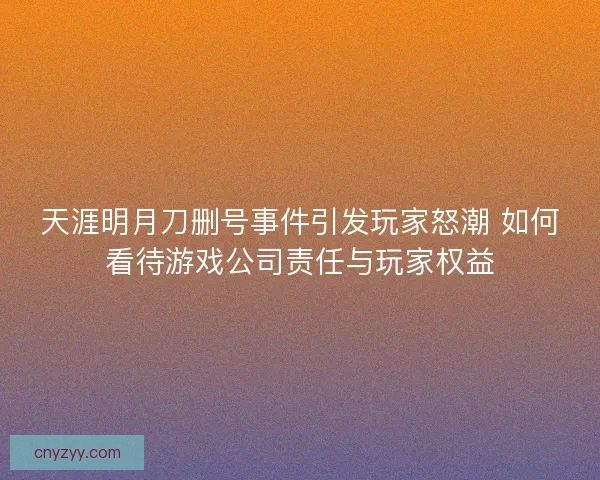 天涯明月刀删号事件引发玩家怒潮 如何看待游戏公司责任与玩家权益