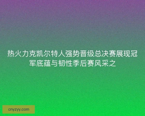 热火力克凯尔特人强势晋级总决赛展现冠军底蕴与韧性季后赛风采之